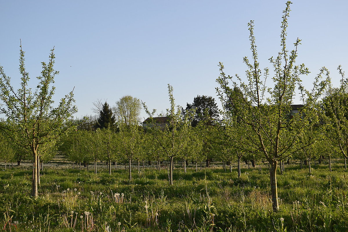 image illustration de la commune dans la galerie photo