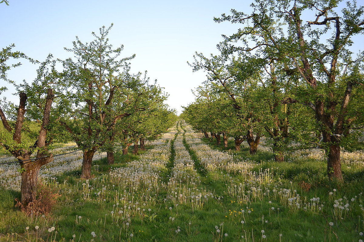 image illustration de la commune dans la galerie photo