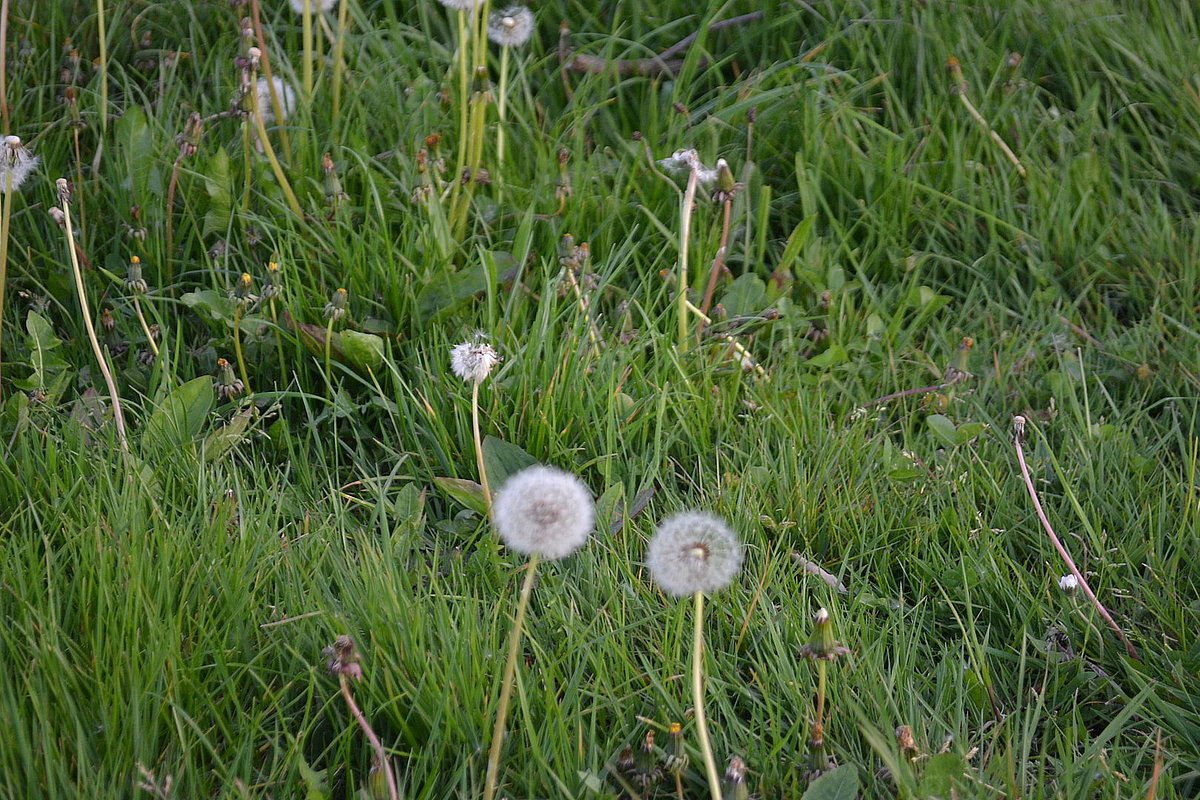 image illustration de la commune dans la galerie photo