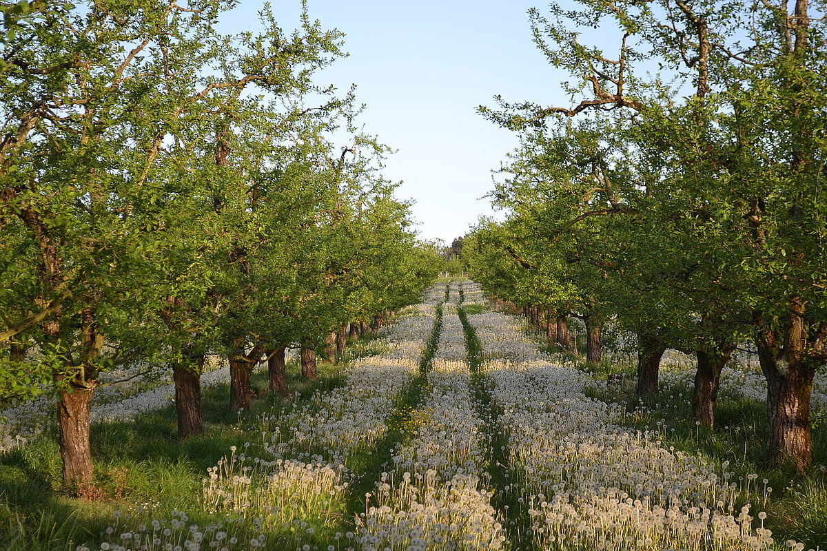 image illustration de la commune dans la galerie photo