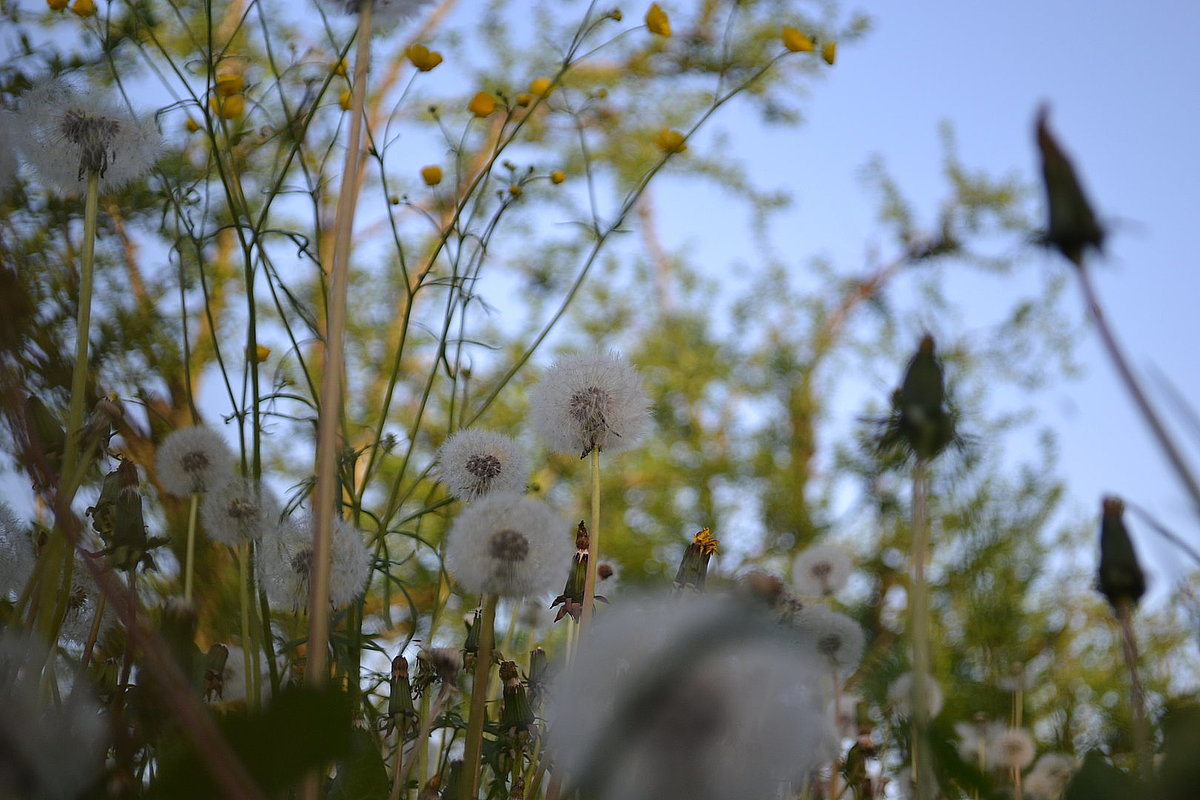 image illustration de la commune dans la galerie photo