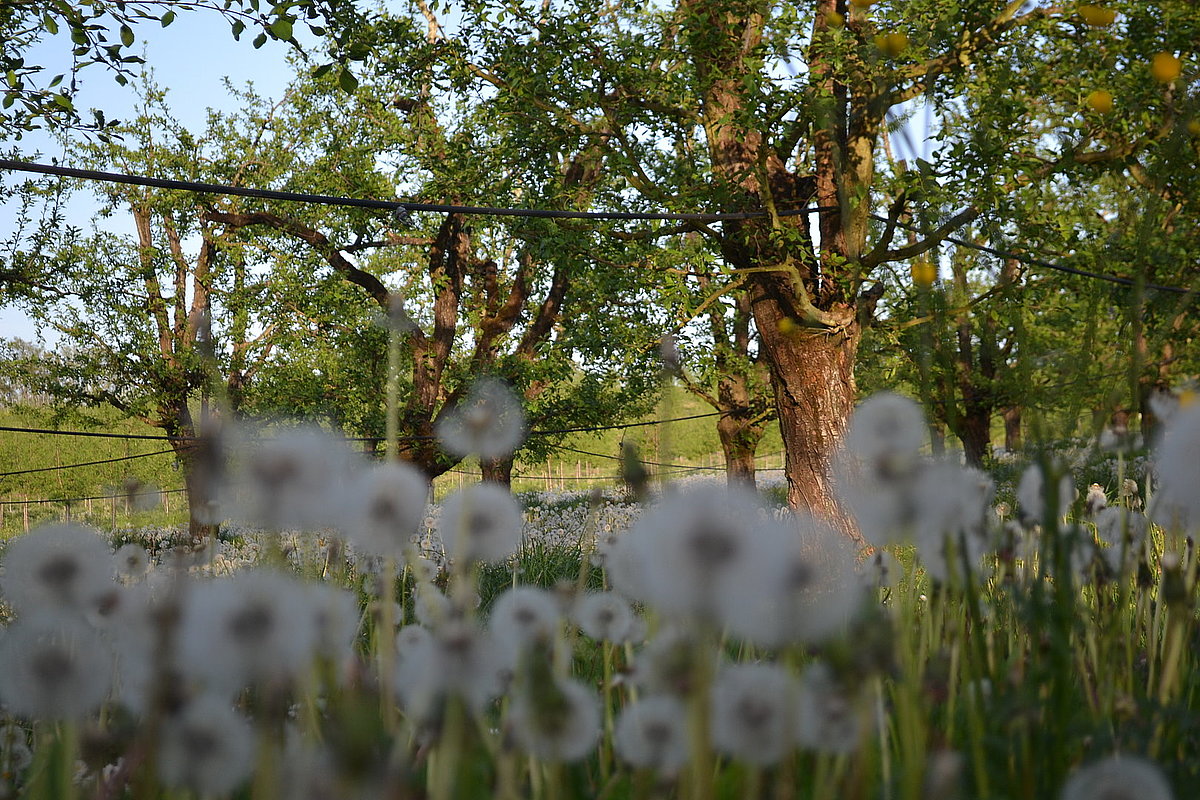image illustration de la commune dans la galerie photo