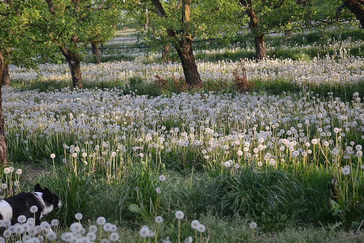 image illustration de la commune dans la galerie photo