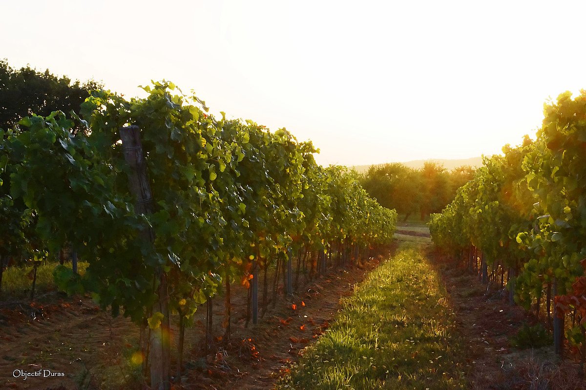 image illustration de la commune dans la galerie photo