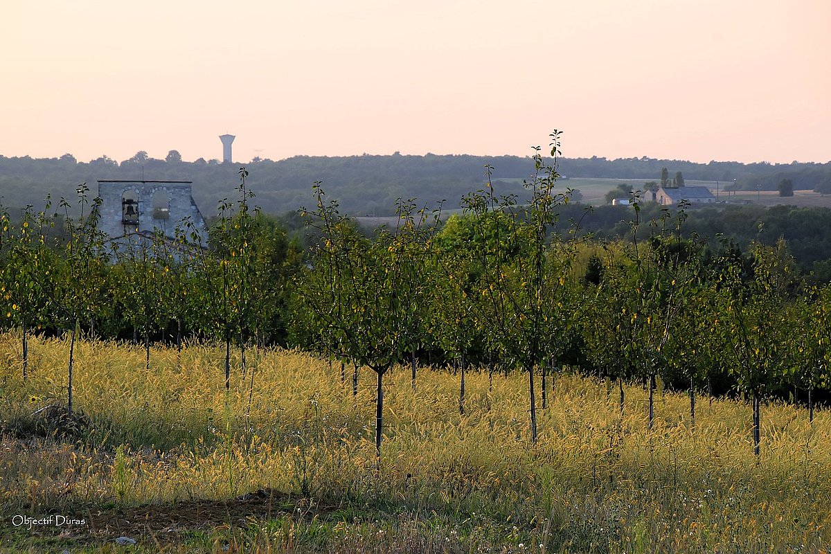 image illustration de la commune dans la galerie photo